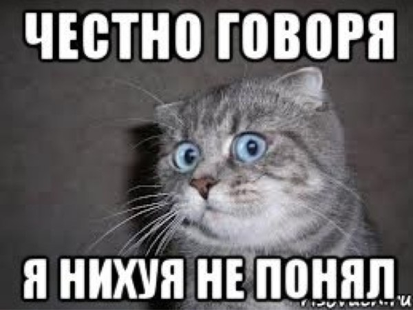 "Бежит лось. У него на шее медведь..."