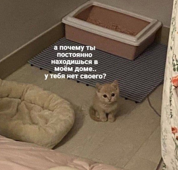 Маленкость