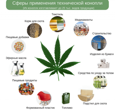Запрет на экспорт пальмового масла
