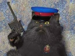 Ну и где все эти доступные женщины?!