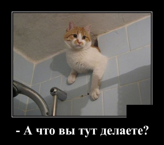 Картинки с надписями 17.06.22