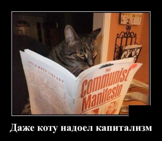 Картинки с надписями 31.07.22
