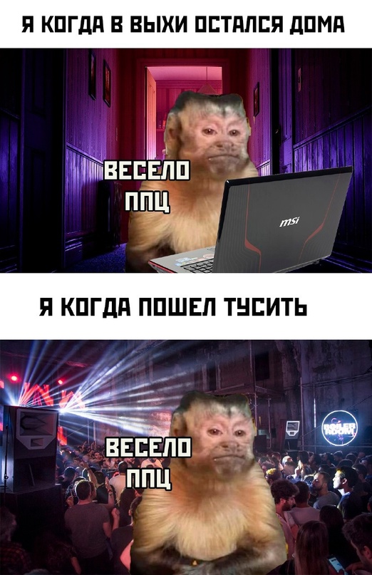 Картинки и мемы для настроения - 111