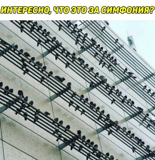 Картинки и мемы для настроения - 119