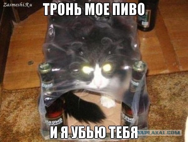 Так ли важно для мужчины , чтобы жена взяла его фамилию?