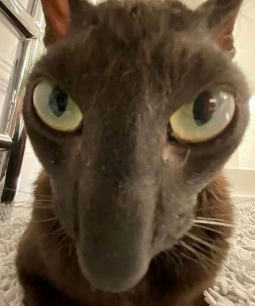 Этот человек пытался разблокировать ваш телефон