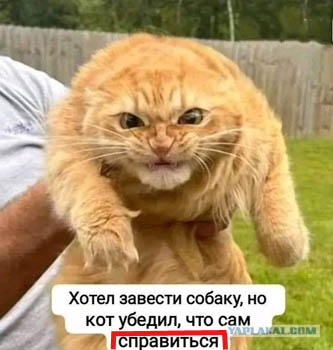 Картинки с надписями 31.03.23