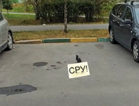 Сколько можно бронировать места для авто?!