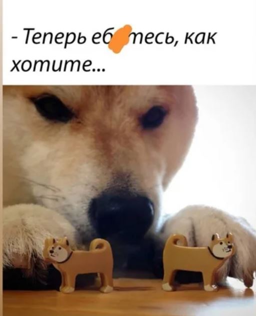 Химия и жизнь
