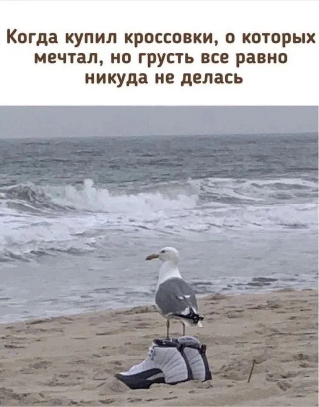 Приколы и мемы с налетом 2000-х