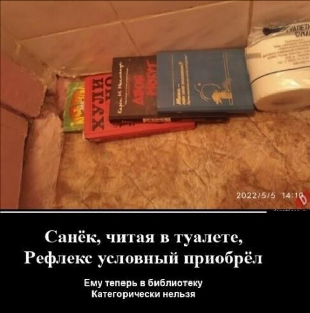 18619382.jpg