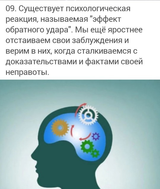 20 удивительных фактов, которые больше похожи на вымысел