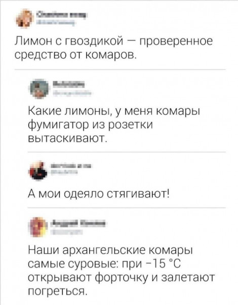 Всего понемногу. От 15.12.23