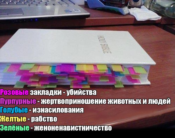 Суд в Ставропольском крае отправил в СИЗО школьников, которые сожгли Библию