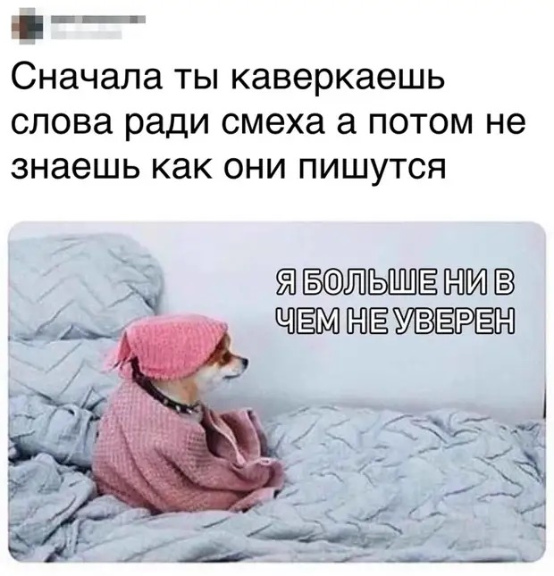 «Ну допустили ошибку». В Краснодаре сняли таблички с «космонаФтом» в названии улицы Гагарина