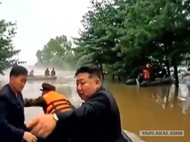 Ким Чен Ын врезался в дерево