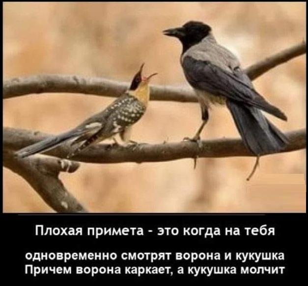 Картинки разные с надписями и без