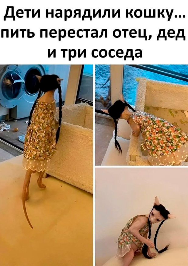 Завалялось тут случайно немного забавных картинок