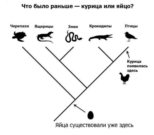 Завалялось тут случайно немного забавных картинок