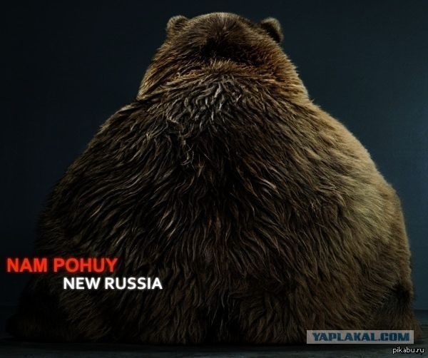 И тут Остапа понесло