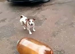 Куда пропал советский карбид?