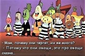 Россияне недовольны блокировкой звонков в WhatsApp и Telegram