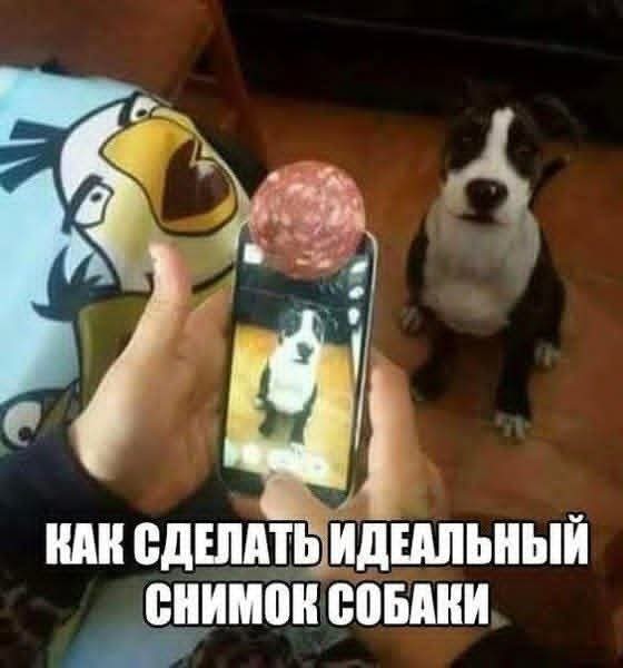 Маленькая пятница