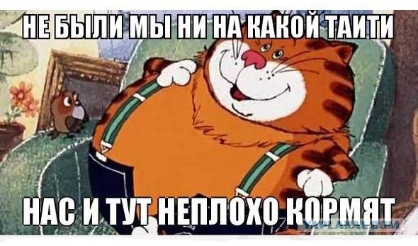 Тимофей зажрался
