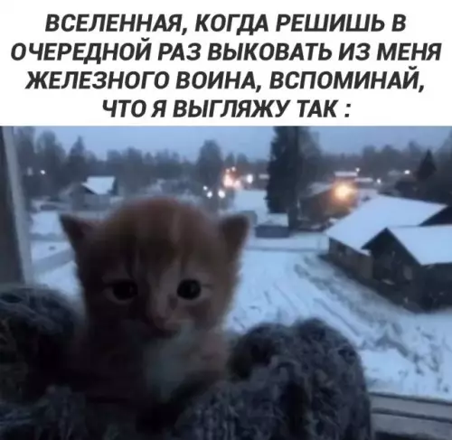 К котовторнику: подборка картинок-баянов с котиками и про котиков. Выпуск 31.