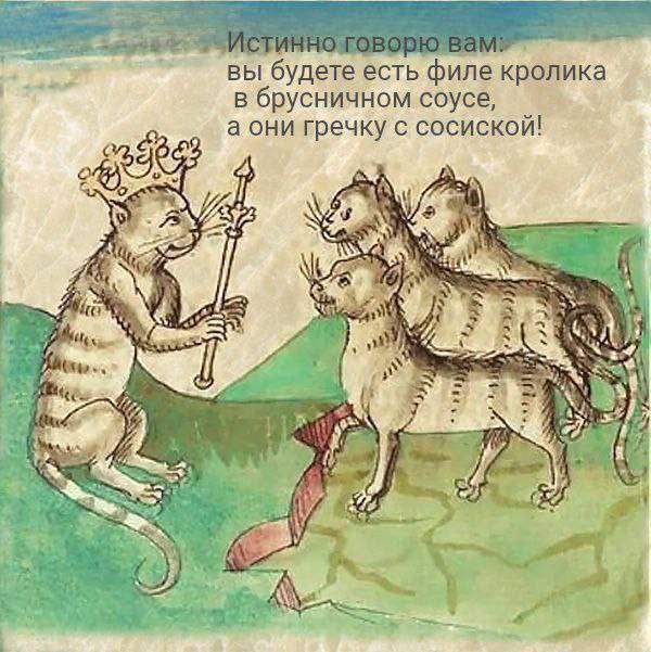 К котовторнику: подборка картинок-баянов с котиками и про котиков. Выпуск 32.