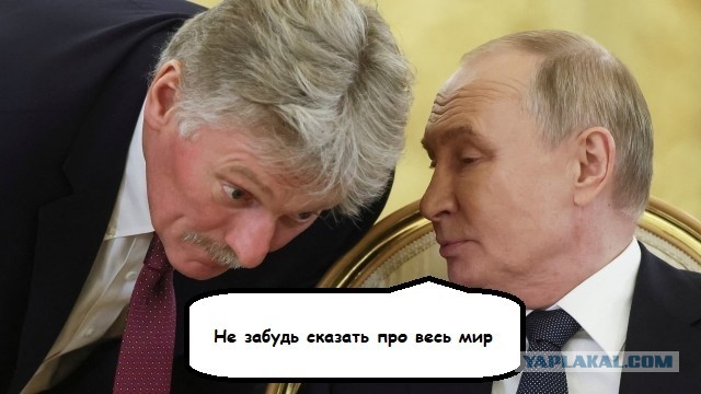 Песков заявил, что выступление Путина на «Валдае» ждет весь мир