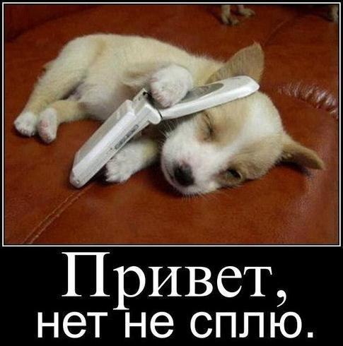 Собакочетверг никто не отменял.