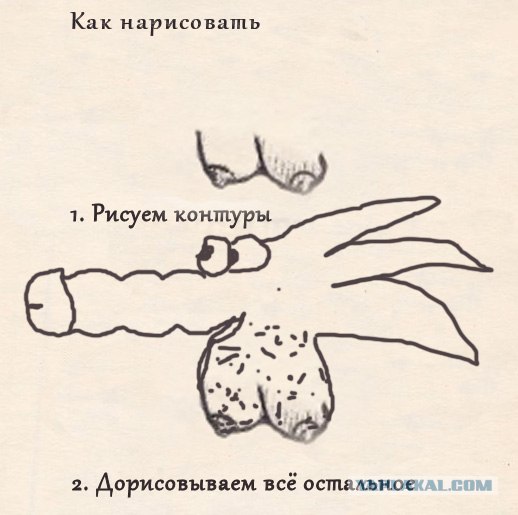 Соедините точки