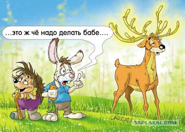 Лося жалко, конечно