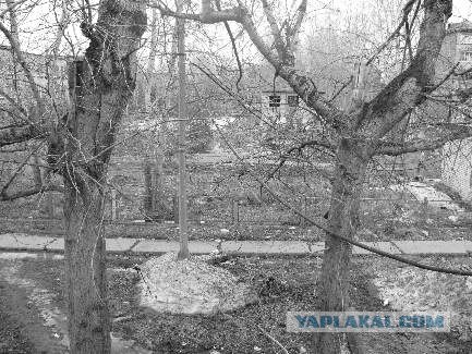 Вид из вашего окна