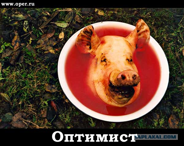 Господа Яповчане-Фотошопперы для вас - Порошенко
