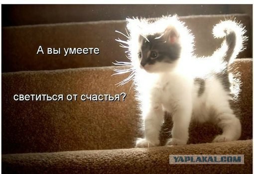 Добряки, плюсующие всех подряд