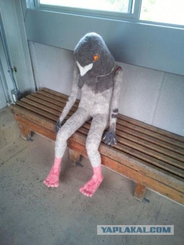 Картинки