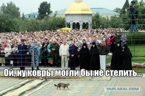 Весёлые картинки на субботу