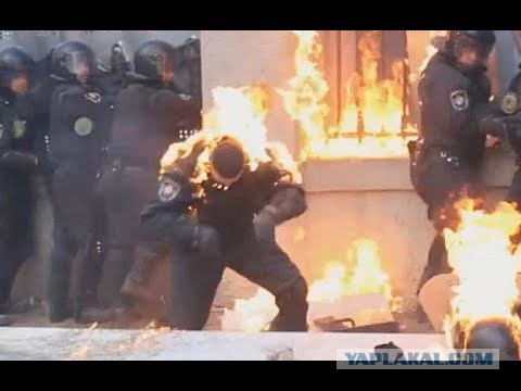 Отожрались и делать ничего не хотите...