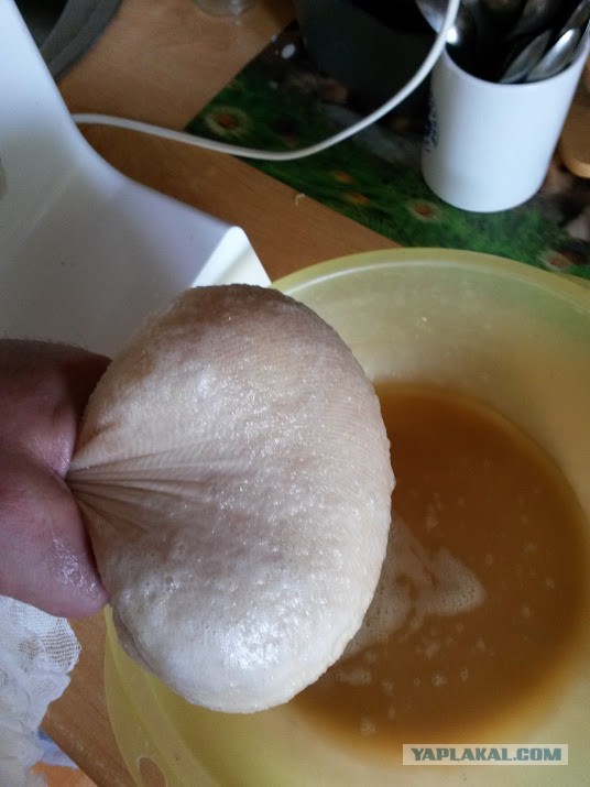 Цеппелины не только летают,литовская кухня