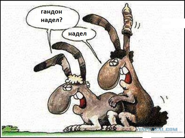 Рисованные эротические приколы