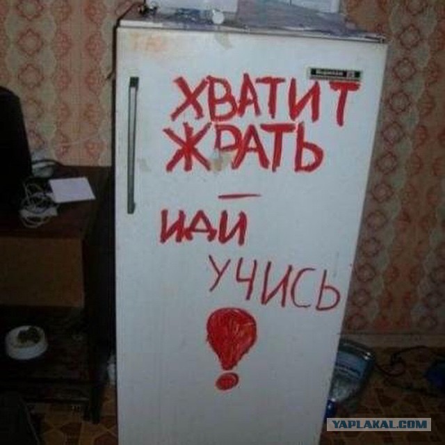 Наши студенты выживут в любых условиях