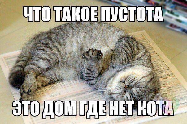 Немного картинок и демотиваторов