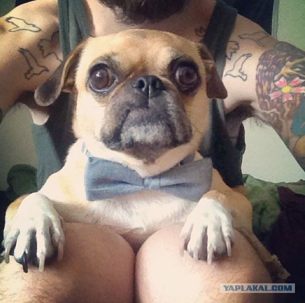 Разные картинки из сети