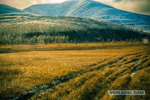 Где-то в другой вселенной