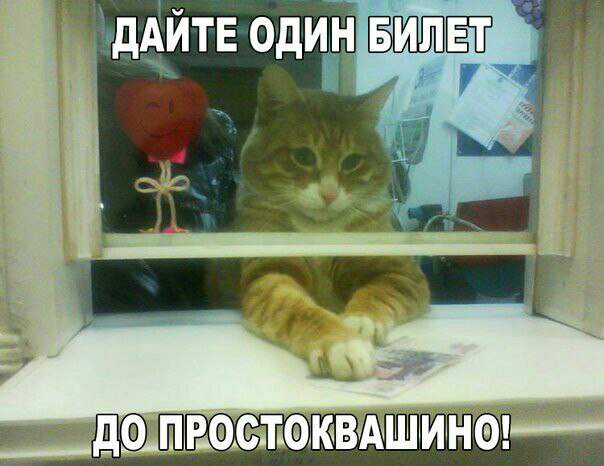 Подборка забавных картинок