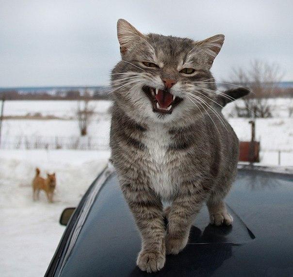 Подборка картинок на среду