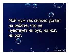 Подборка прикольных фото