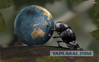 Завораживающий ролик..